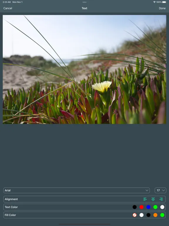 PDF Editor : Text to Speech iPad  スクリーンショット