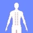 TaoBody Acupoint Massager