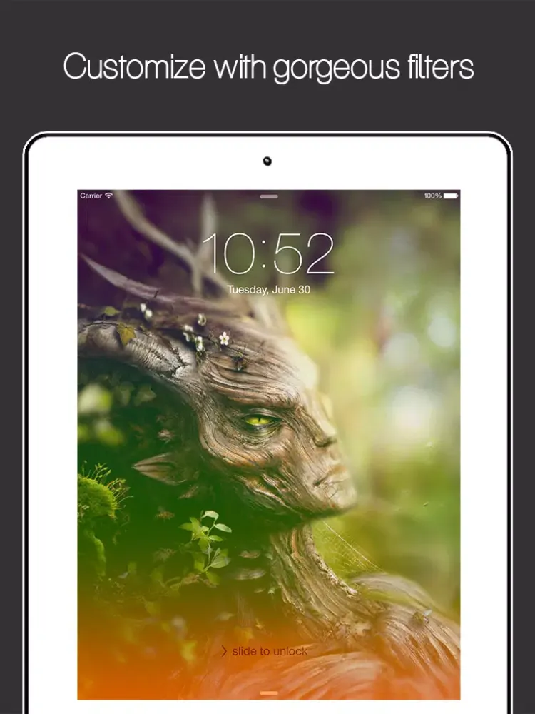 Zrzuty ekranu Wallpapers for Skyrim HD Free iPad 