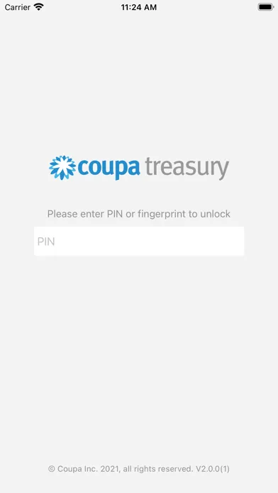 Coupa Treasury Screenshots