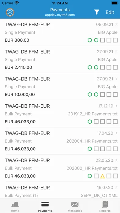 Coupa Treasury Screenshots