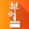 Cassava Plant Disease Identify