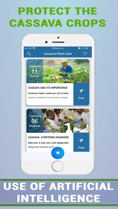 Ảnh chụp màn hình của Cassava Plant Disease Identify