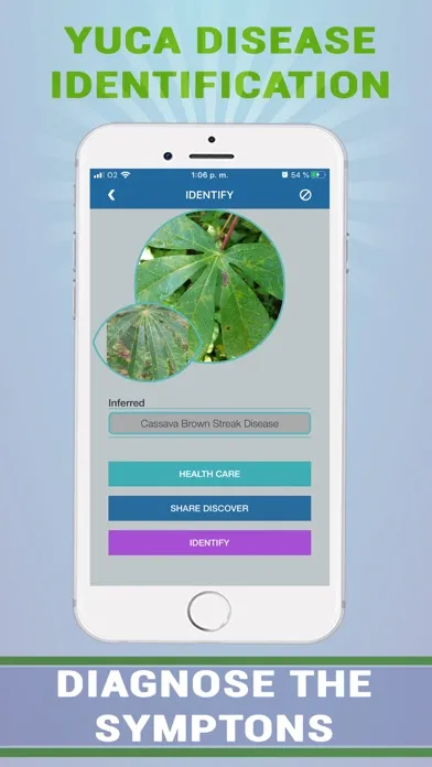Ảnh chụp màn hình của Cassava Plant Disease Identify