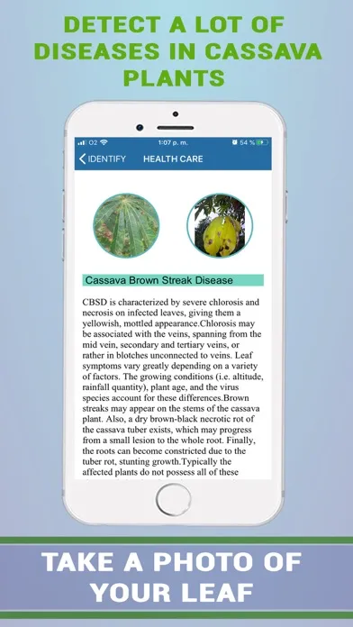 Ảnh chụp màn hình của Cassava Plant Disease Identify
