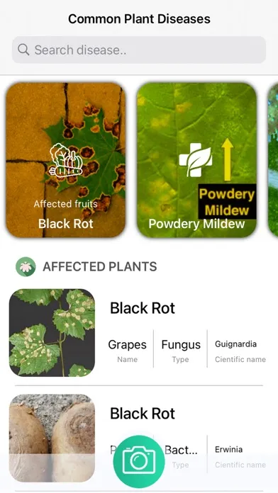 Plants Diseases Identifier 스크린샷