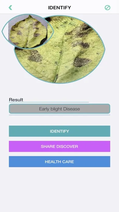 Plants Diseases Identifier 스크린샷
