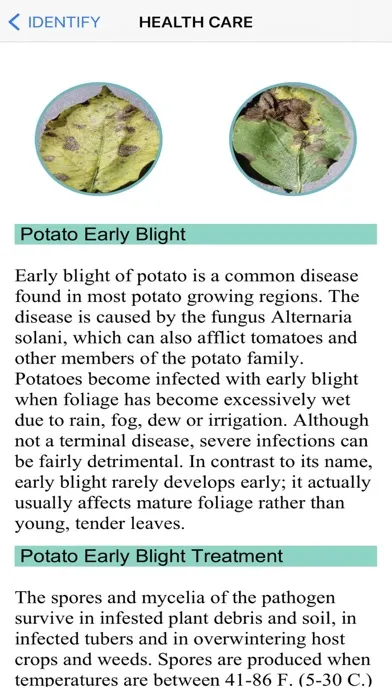 Plants Diseases Identifier 스크린샷