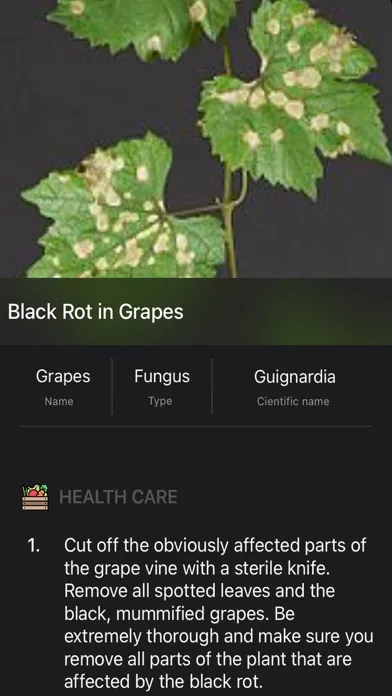 Plants Diseases Identifier 스크린샷
