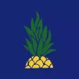 Pokawa