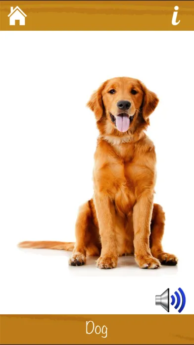 Learn Animals and Sounds سکرین شاٹس
