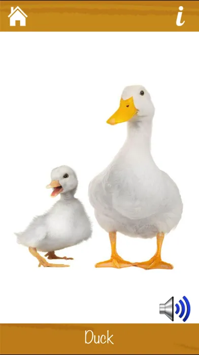 Learn Animals and Sounds سکرین شاٹس