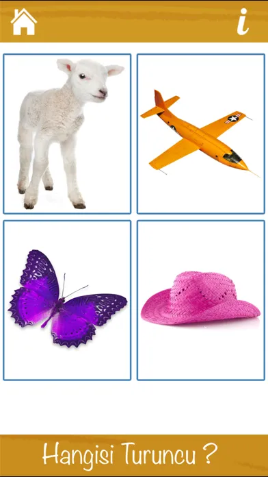 تصاویر Renkleri Öğreniyorum