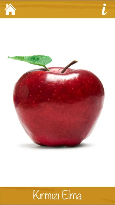 تصاویر Renkleri Öğreniyorum