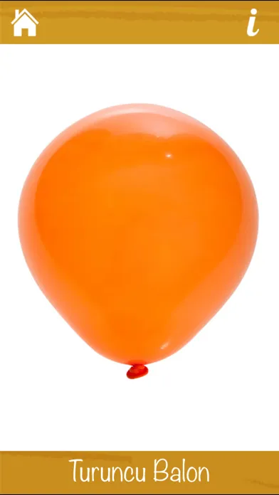 تصاویر Renkleri Öğreniyorum