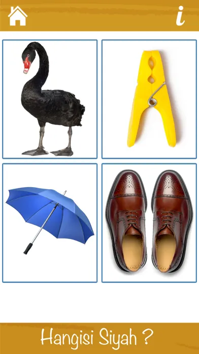 تصاویر Renkleri Öğreniyorum