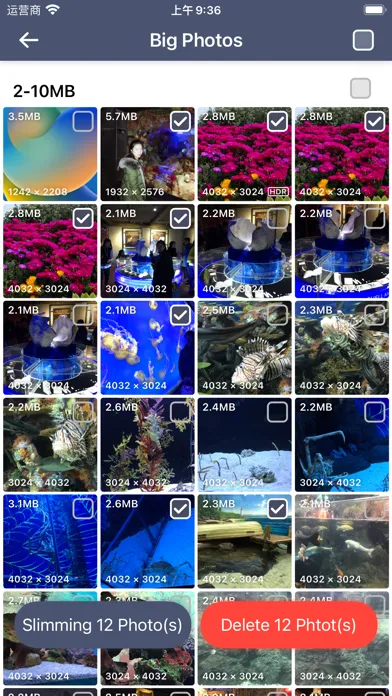 Photo Clean Master Housekeeper Screenshots