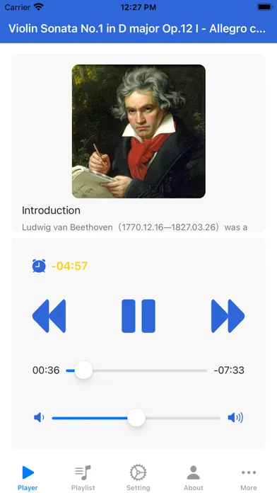 Screenshot di Beethoven Violin Sonata