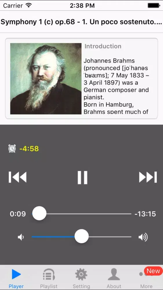 Zrzuty ekranu Brahms Symphony