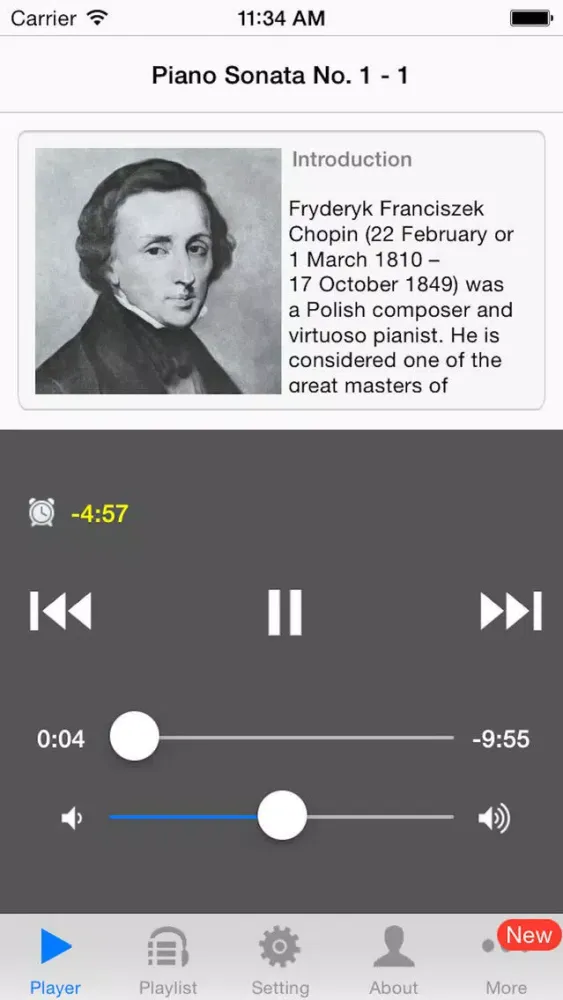 Ảnh chụp màn hình của Piano Sonata by Chopin