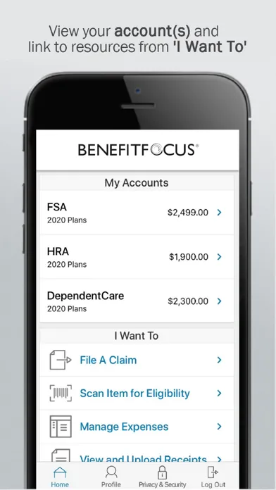 Tangkapan layar Benefitfocus Health Accounts