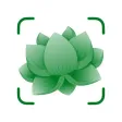 Plant ID & Tree Identification Plant ID & Tree Identification