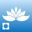 Cleveland Clinic Stress Free Now