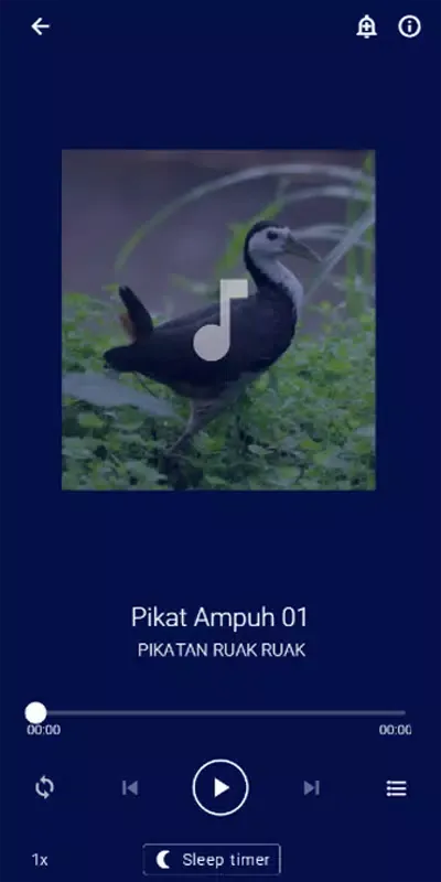 Скриншоты Pikatan Ruak Ruak