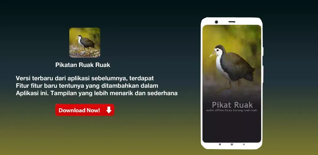 Скриншоты Pikatan Ruak Ruak