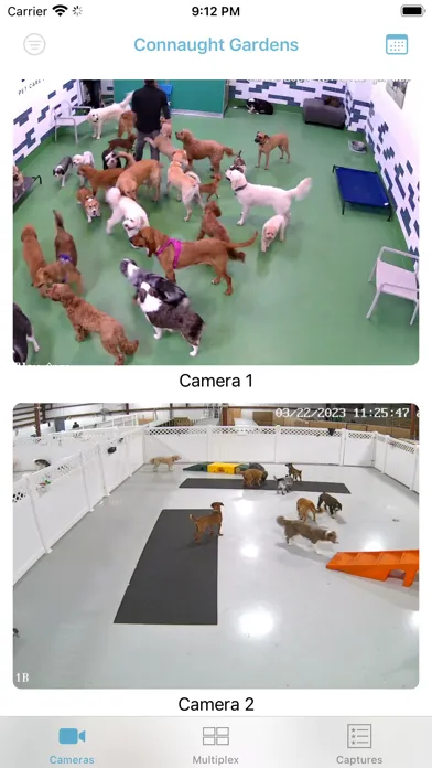 Ảnh chụp màn hình của iDogCam View