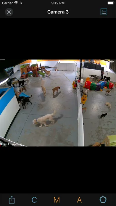 Ảnh chụp màn hình của iDogCam View