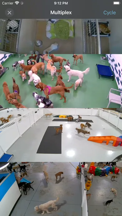 Ảnh chụp màn hình của iDogCam View