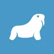 Bentaş Mors