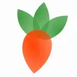 Veggie Garden Planner