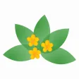 Medicinal Herbs Info Medicinal Herbs Info