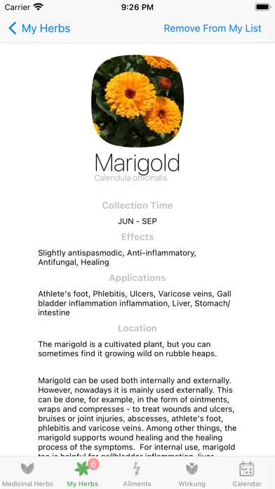 صور Medicinal Herbs Info