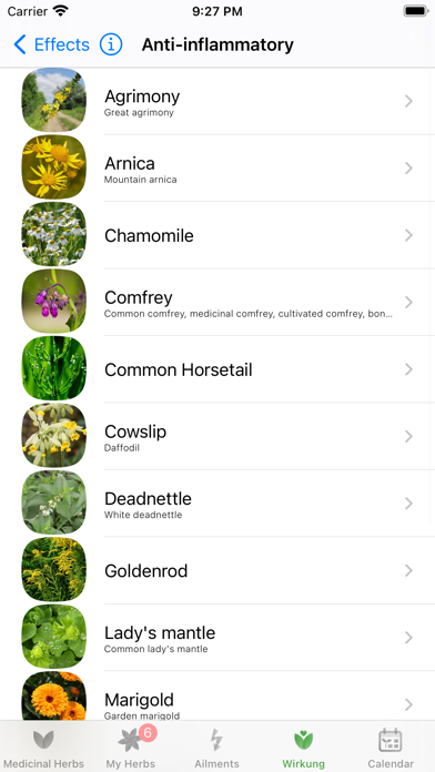 صور Medicinal Herbs Info