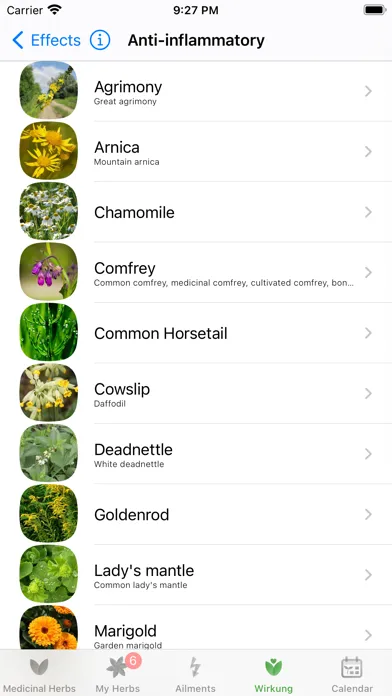 Screenshot di Medicinal Herbs Info