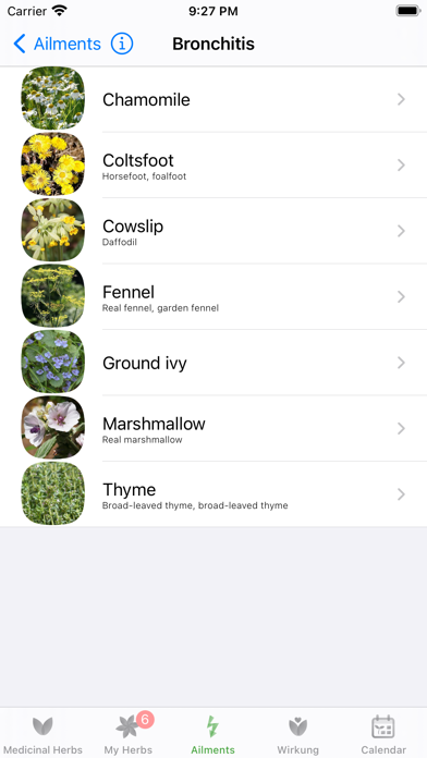 صور Medicinal Herbs Info