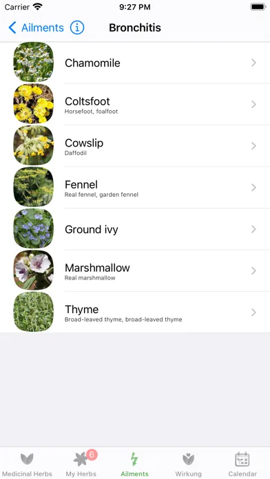 Screenshot di Medicinal Herbs Info