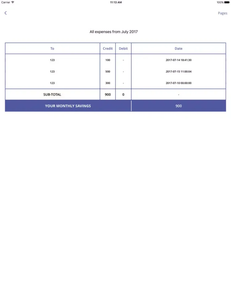 My Wallet Expense Manager iPad 應用截圖