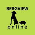 Bergview Online