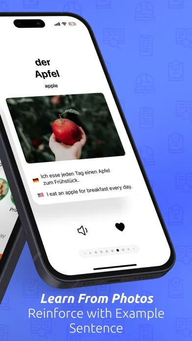 Der Die Das: Article Trainer Screenshots