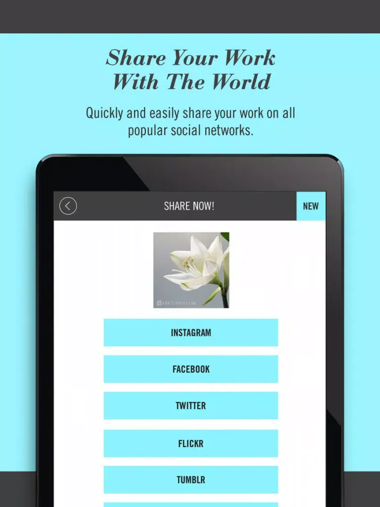 Watermark Brand Professional iPad  Screenshots