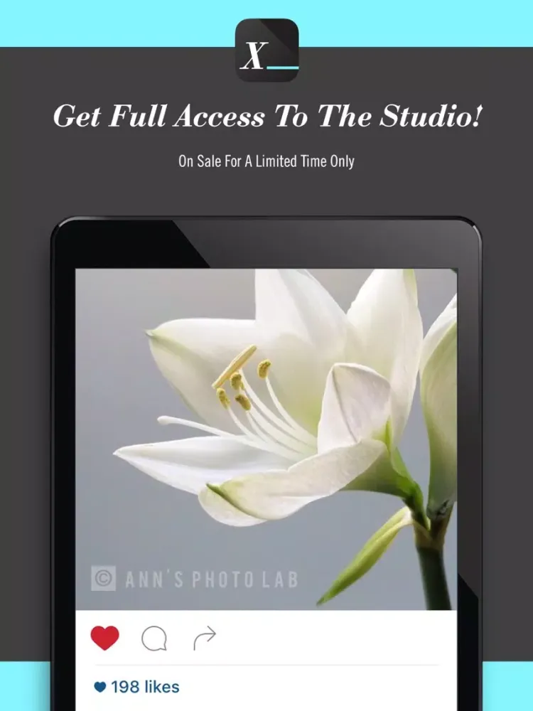 Watermark Brand Professional iPad  Screenshots