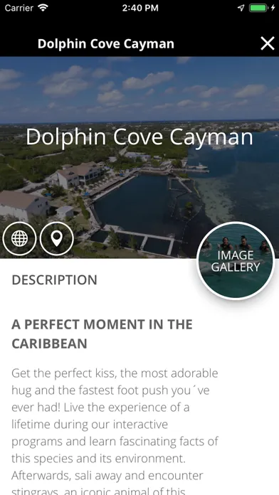 Dolphin Discovery Group Screenshots