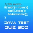 Quiz 300 - Java Questions