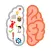 Brain Game : Genius Test