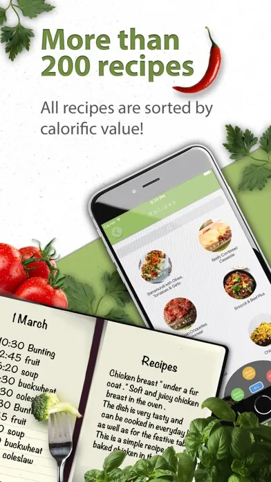 5:2 Fast Diet Low-Calorie Recipes! سکرین شاٹس