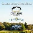 Caledonia - True Blue Golf Caledonia - True Blue Golf